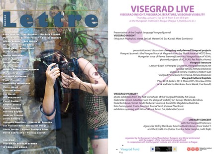 vislive web02